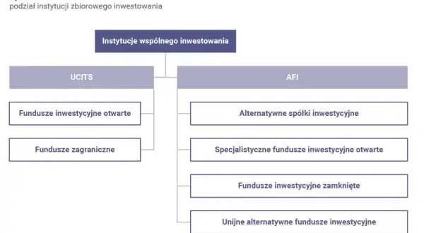 Fundusze inwestycyjne: jak działają? Odkryj sekrety świadomego zysku