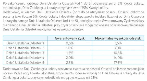 Lokata inwestycyjna: Hybryda zysku i ryzyka. Czy warto inwestować?